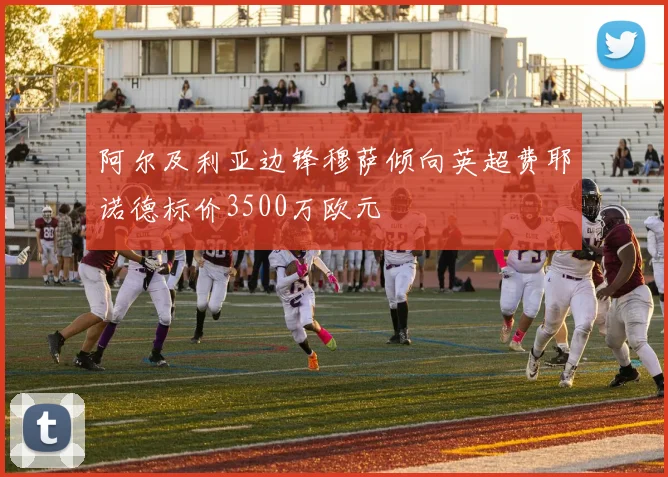 阿尔及利亚边锋穆萨倾向英超费耶诺德标价3500万欧元