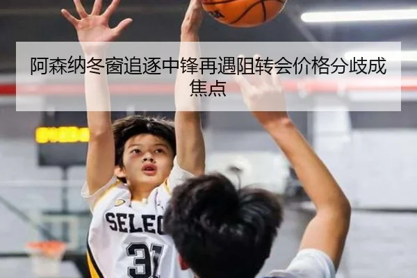 阿森纳冬窗追逐中锋再遇阻转会价格分歧成焦点 | ayx